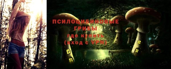 прущая мука Алзамай