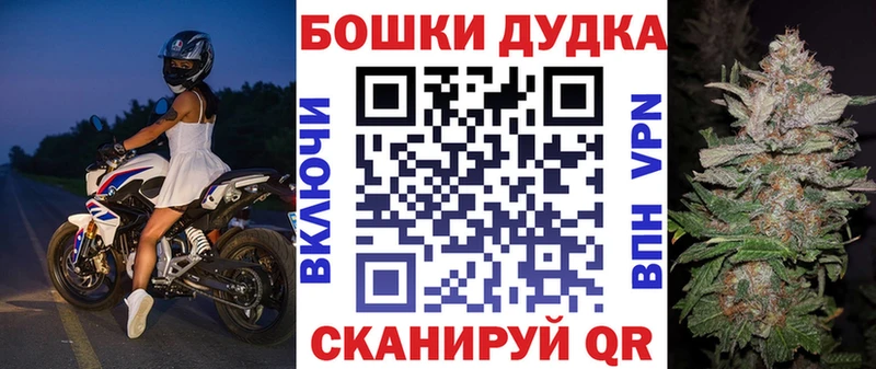 Конопля сатива  Купить где  Венёв 